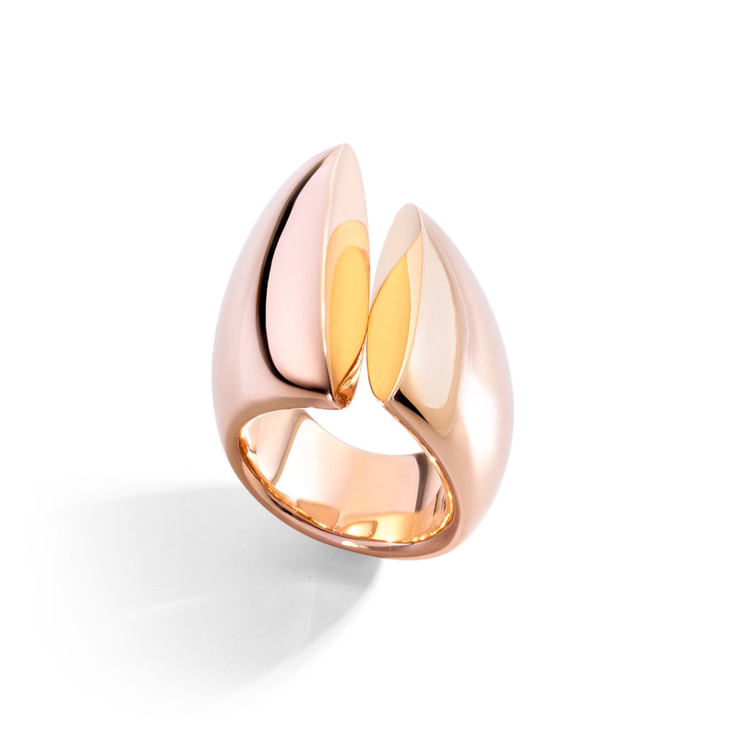 Eclisse ring