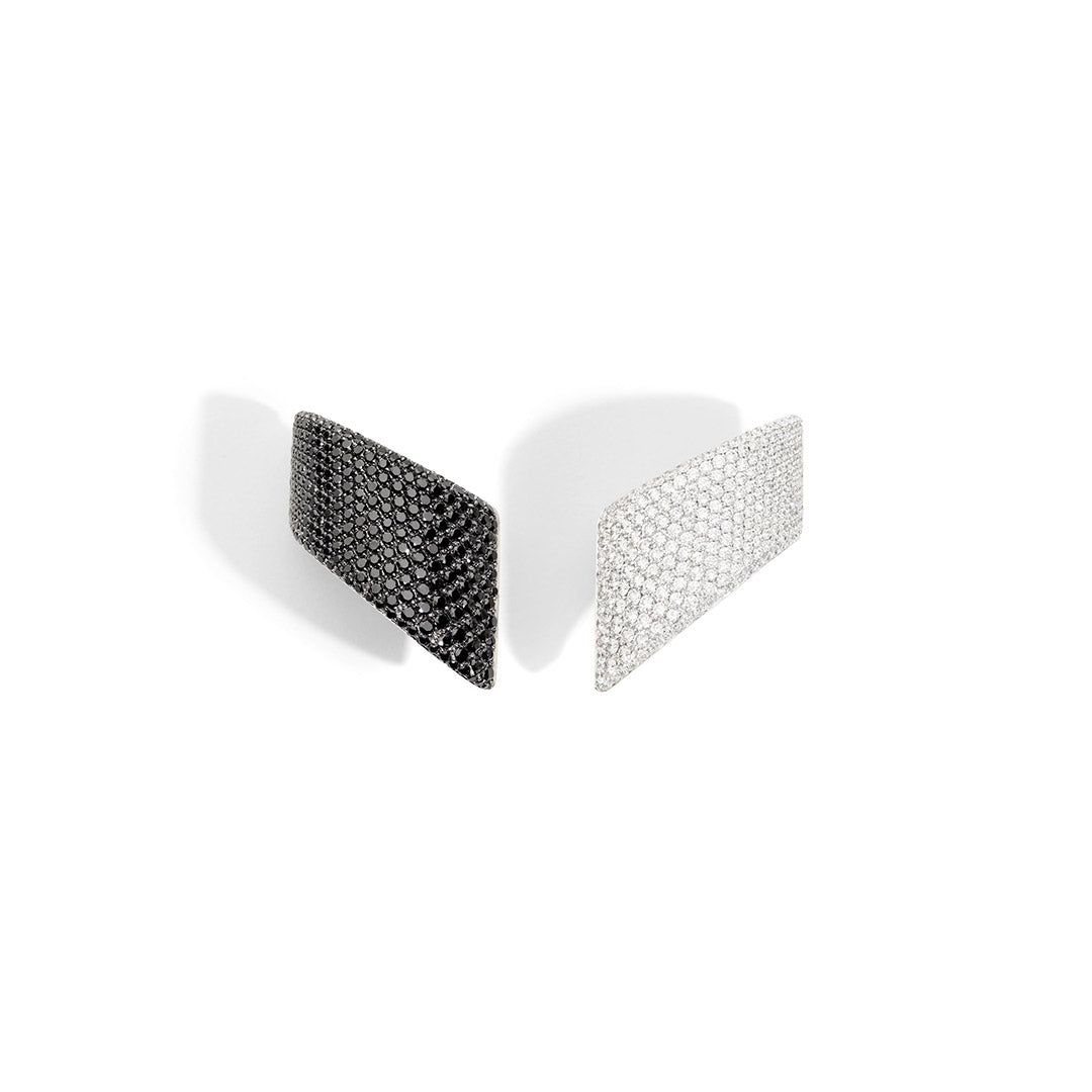 VAGUE EARCLIPS